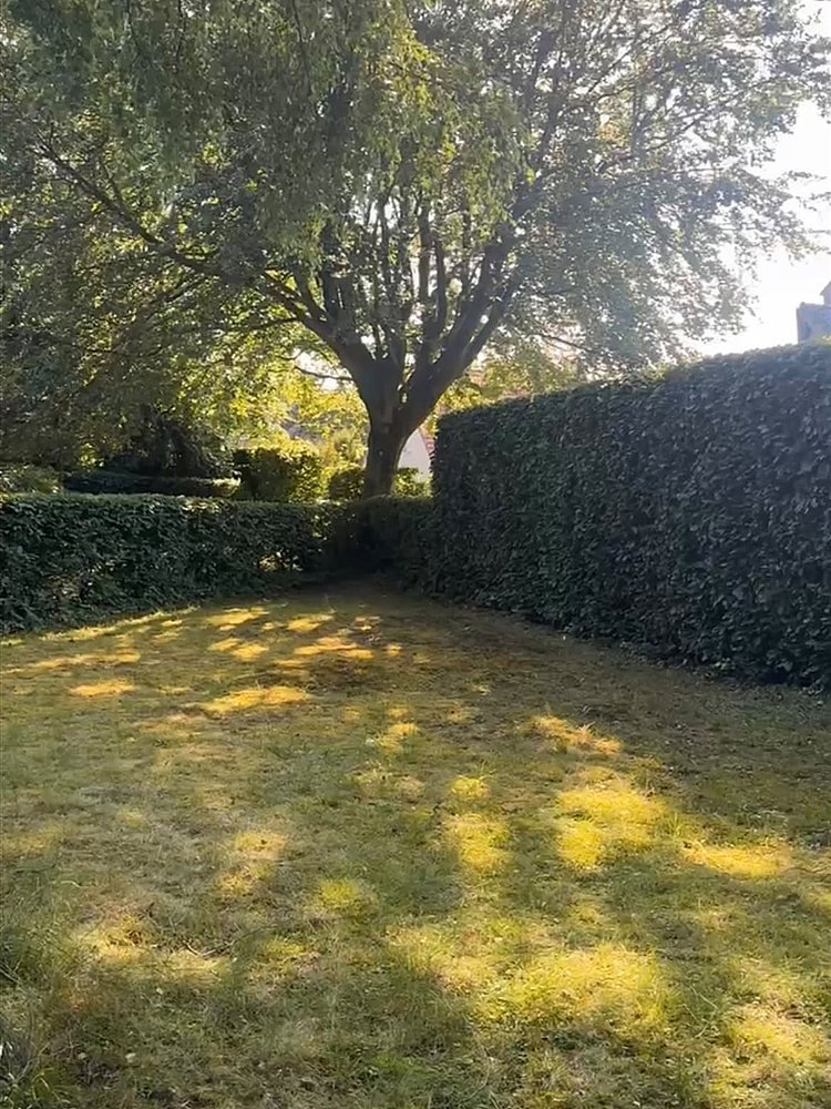 Hecke nach dem Schnitt